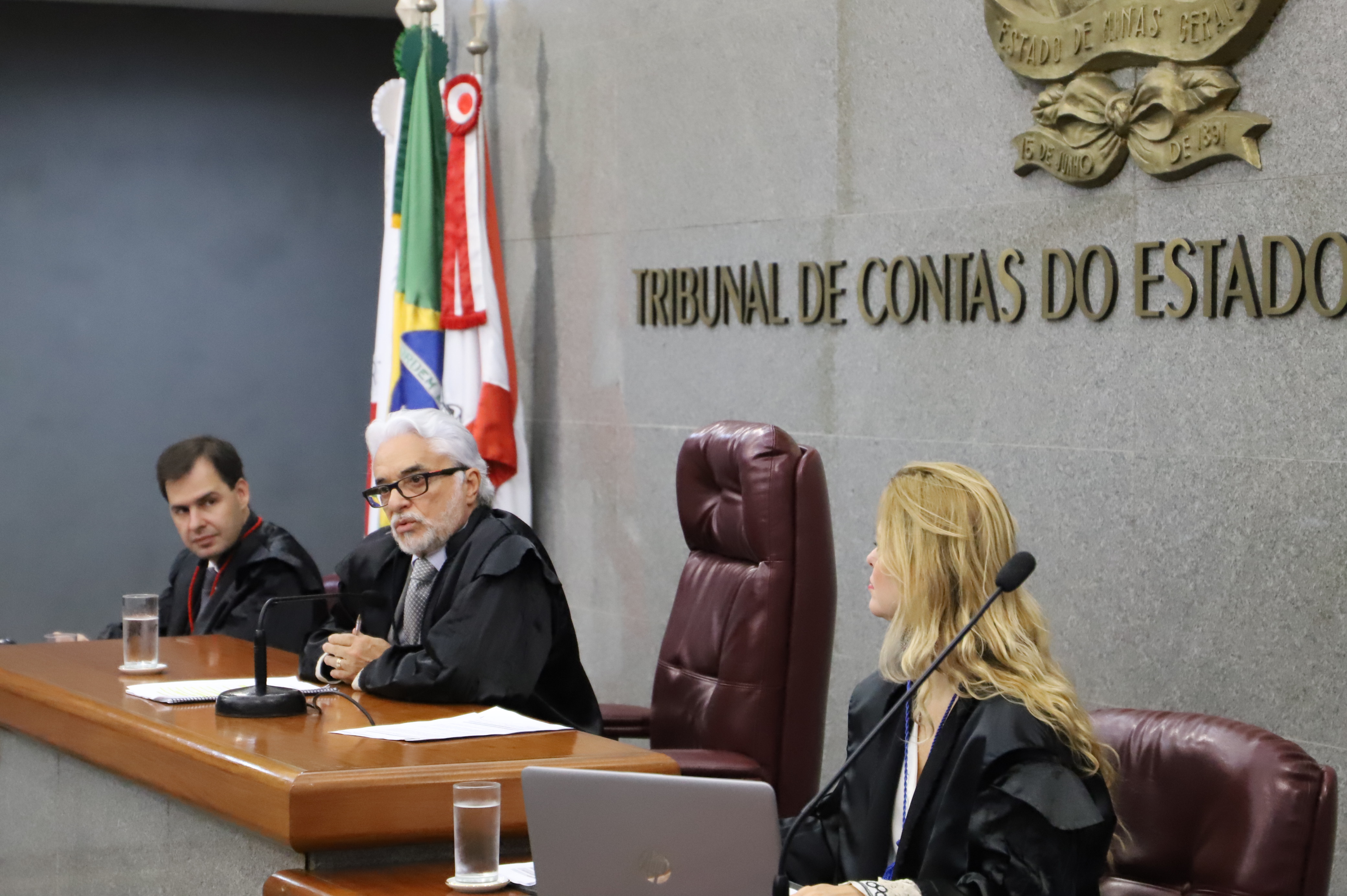 O relator do processo, conselheiro Wanderley Ávila (Foto: Karina Camargos Coutinho)